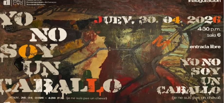 El Museo Armando Reverón inaugura la exposición “Yo no soy un caballo”