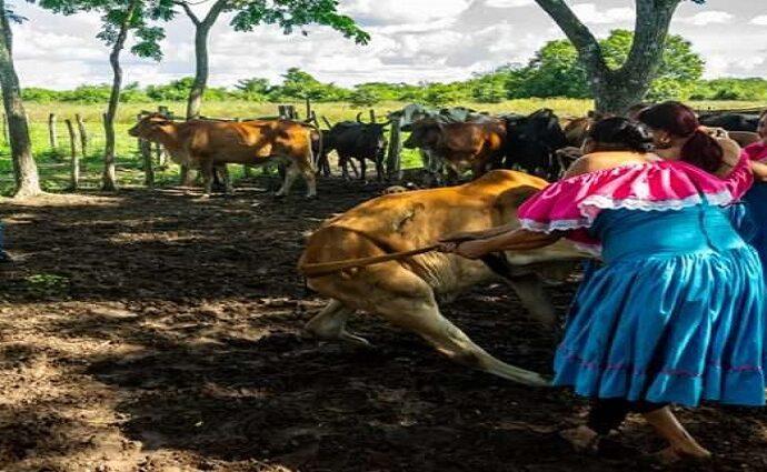 Estrenan documental "Llaneridad" en la Cinemateca Nacional