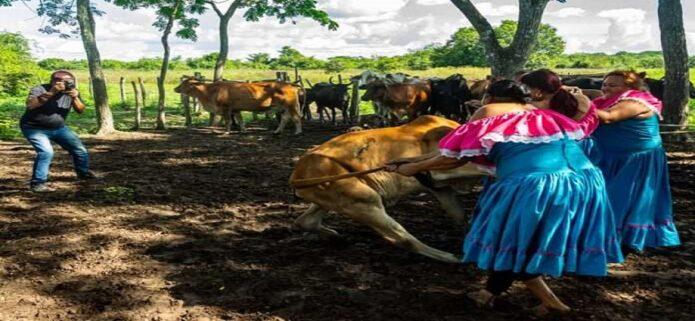 Estrenan documental "Llaneridad" en la Cinemateca Nacional