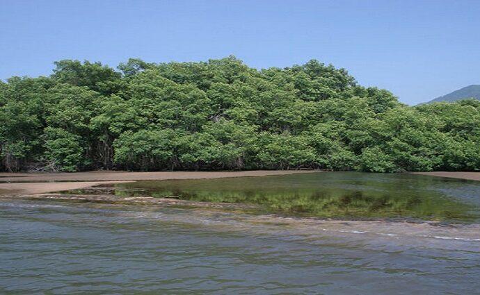 TSJ dicta medida cautelar para proteger la ensenada de Yaguaracual en Mochima