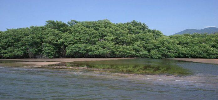 TSJ dicta medida cautelar para proteger la ensenada de Yaguaracual en Mochima