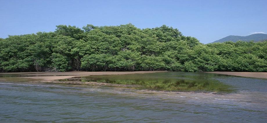 TSJ dicta medida cautelar para proteger la ensenada de Yaguaracual en Mochima