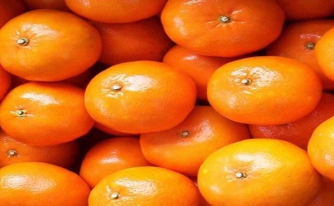Araira: 6.000 familias impulsan la Ruta de la Mandarina