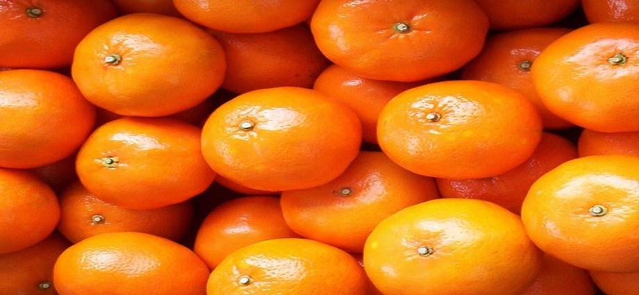 Araira: 6.000 familias impulsan la Ruta de la Mandarina