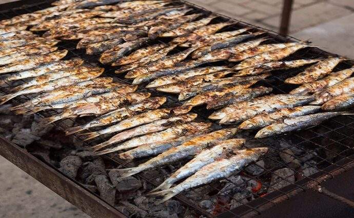 ¿Por qué la sardina es el superalimento definitivo?