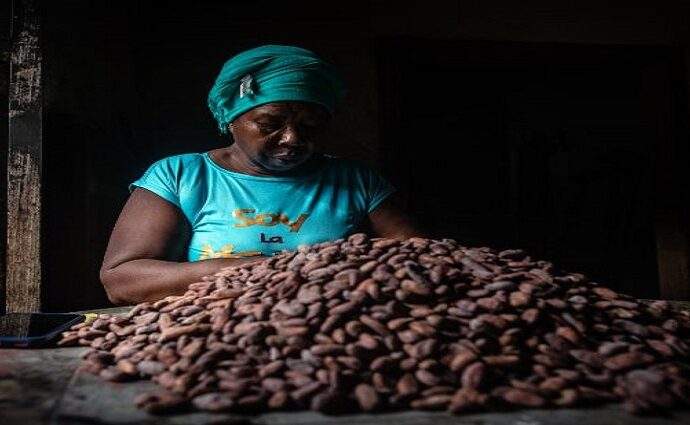 Mayoy Cacao triunfa con cuatro medallas de oro en el British Craft Chocolate Awards 2026