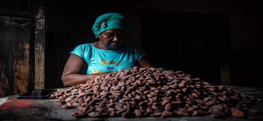 Mayoy Cacao triunfa con cuatro medallas de oro en el British Craft Chocolate Awards 2026