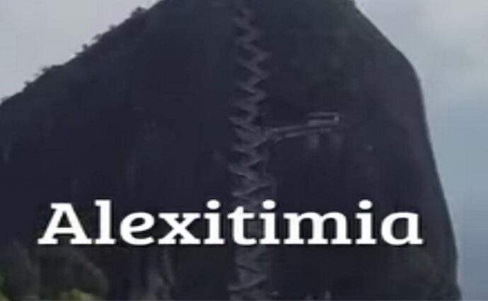 La alcancía de las palabras y sus coroticos: Alexitimia