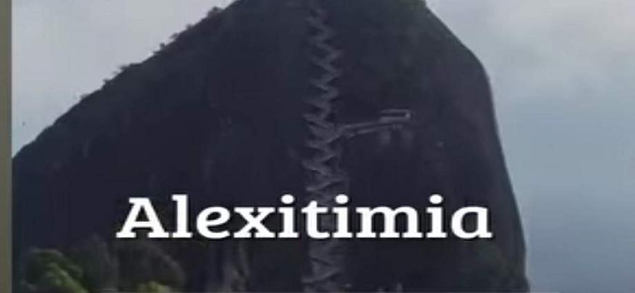 La alcancía de las palabras y sus coroticos: Alexitimia