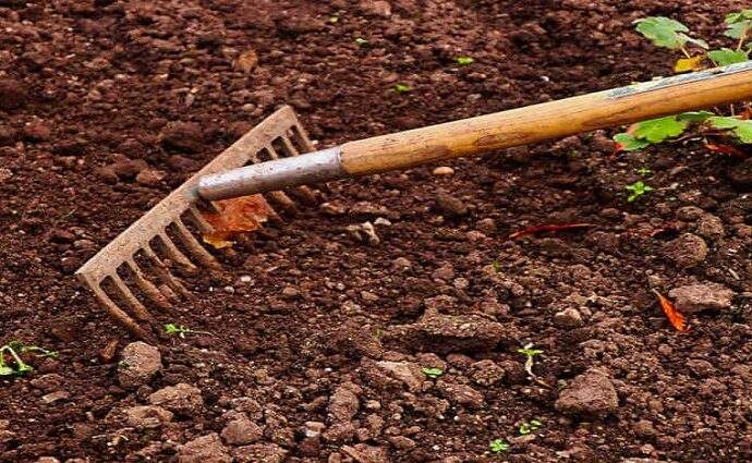 Creencias y Dichos de los campesinos margariteños