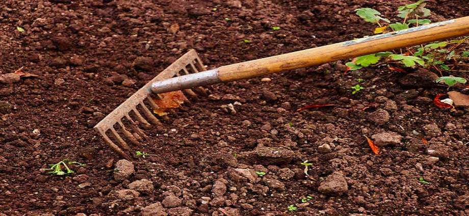Creencias y Dichos de los campesinos margariteños
