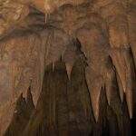 Viaje al Corazón de la Cueva del Guácharo