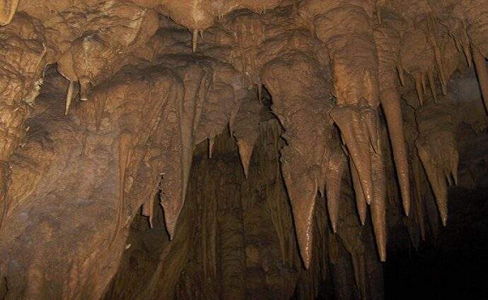 Viaje al Corazón de la Cueva del Guácharo
