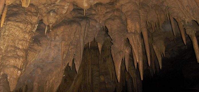 Viaje al Corazón de la Cueva del Guácharo