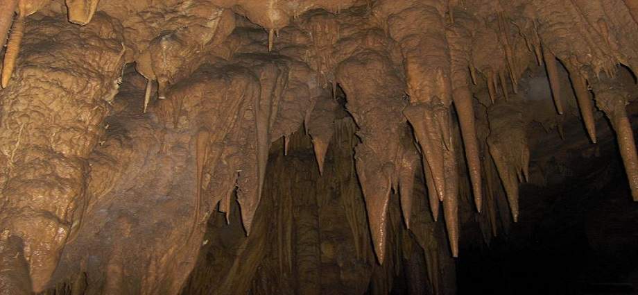 Viaje al Corazón de la Cueva del Guácharo