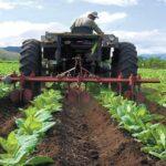 Aragua y Guárico diseñan nueva ruta turística agroproductiva