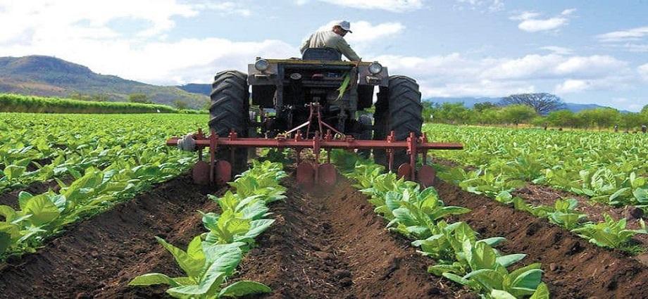 Aragua y Guárico diseñan nueva ruta turística agroproductiva