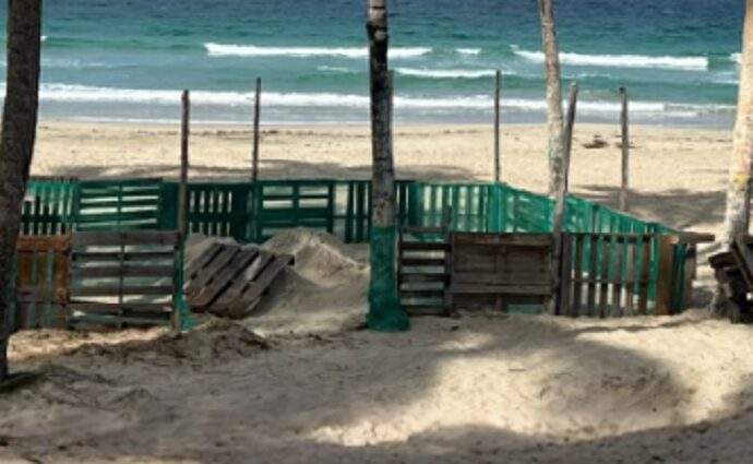Nueva Esparta fortalece la protección marina con la creación de un nuevo Vivero de Tortugas