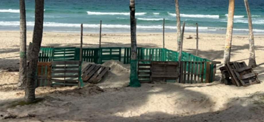 Nueva Esparta fortalece la protección marina con la creación de un nuevo Vivero de Tortugas
