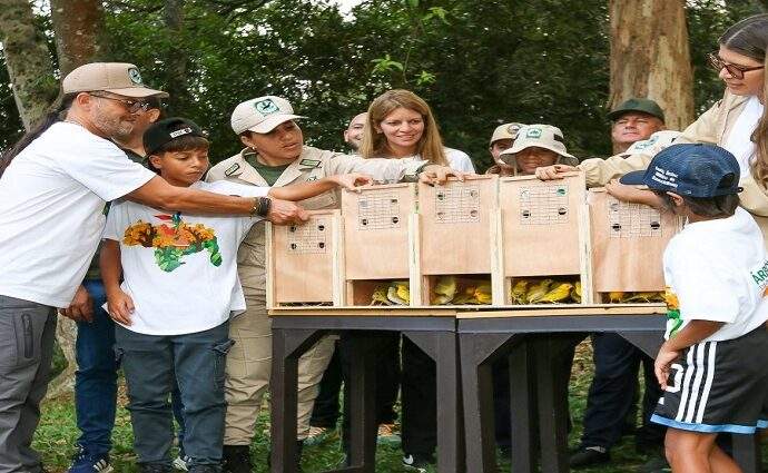 Aves rescatadas del contrabando vuelven al Ávila