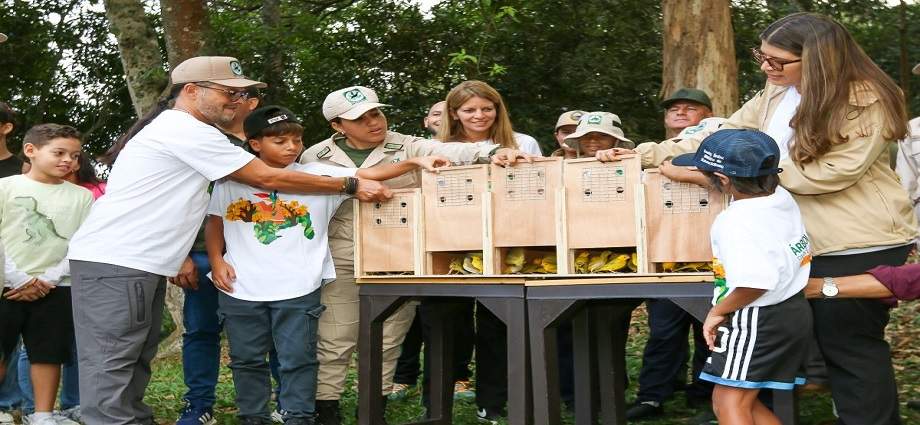 Aves rescatadas del contrabando vuelven al Ávila