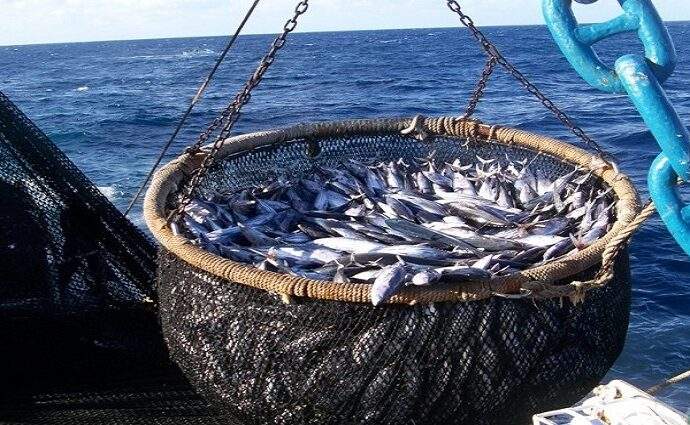 Nueva Esparta envió 19 toneladas de pescados para damnificados por los terremotos