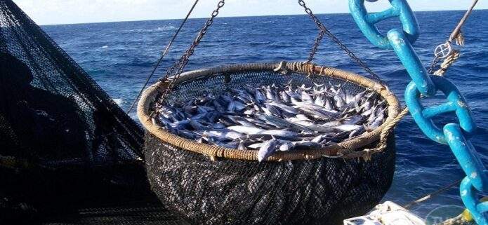Nueva Esparta envió 19 toneladas de pescados para damnificados por los terremotos