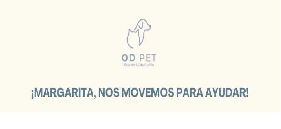 Campaña solidaria facilita la recolección de donaciones a domicilio en Margarita