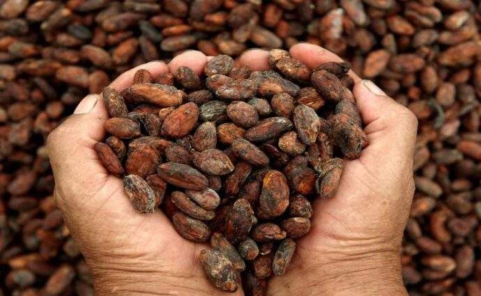 El cacao venezolano triunfa en París