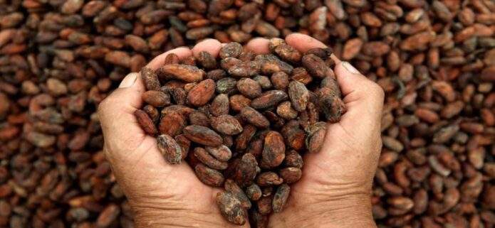 El cacao venezolano triunfa en París