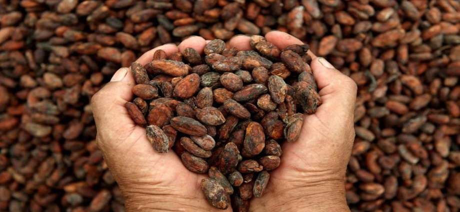 El cacao venezolano triunfa en París