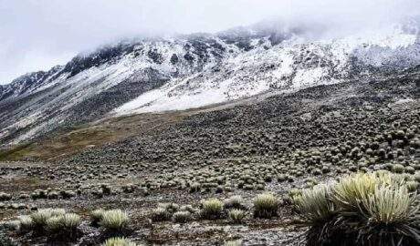 Mérida será sede de una conferencia sobre el impacto del cambio climático