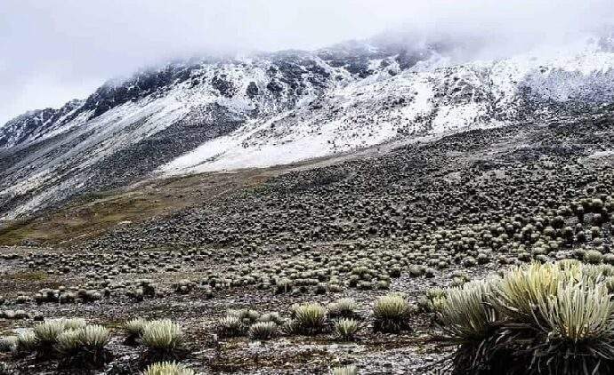 Mérida será sede de una conferencia sobre el impacto del cambio climático