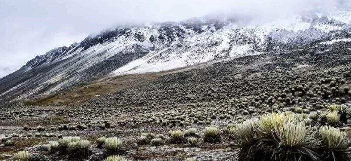 Mérida será sede de una conferencia sobre el impacto del cambio climático