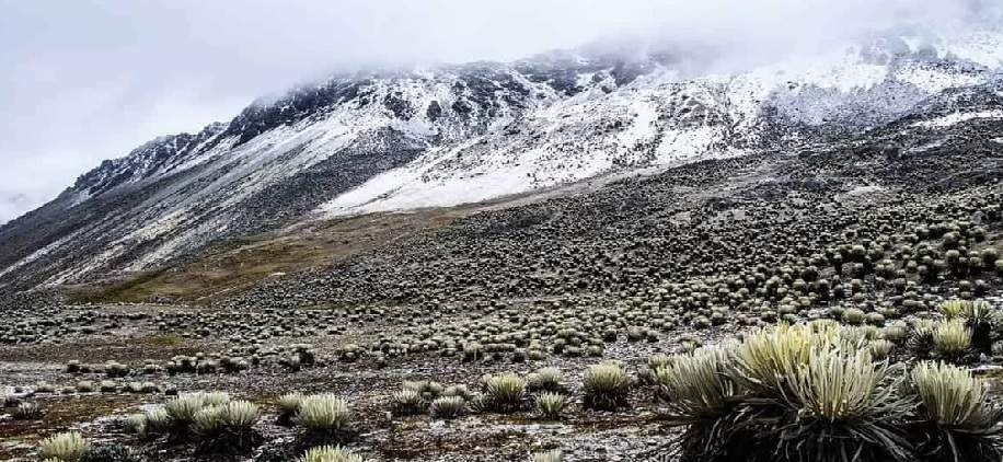 Mérida será sede de una conferencia sobre el impacto del cambio climático