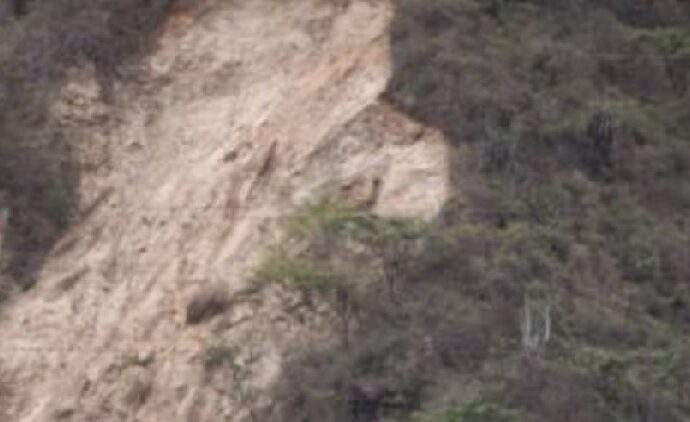 Daños en el Ávila son superficiales pero exigen vigilancia