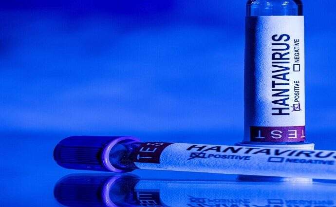 El Colegio de Médicos de Nueva Esparta descarta riesgo inmediato por Hantavirus