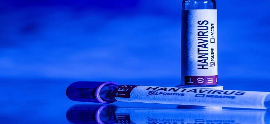 El Colegio de Médicos de Nueva Esparta descarta riesgo inmediato por Hantavirus
