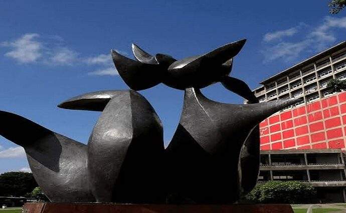 Crean web para localizar a comunidad UCV tras sismos