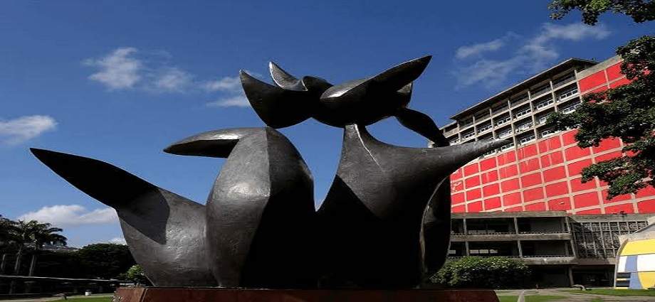 Crean web para localizar a comunidad UCV tras sismos