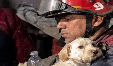 Misión Nevado rescata a más de 600 mascotas tras los intensos sismos