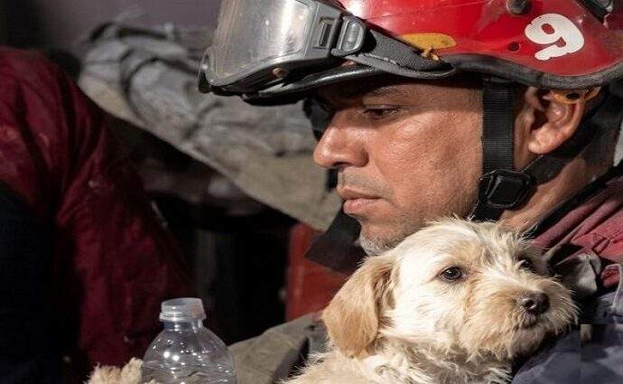 Misión Nevado rescata a más de 600 mascotas tras los intensos sismos