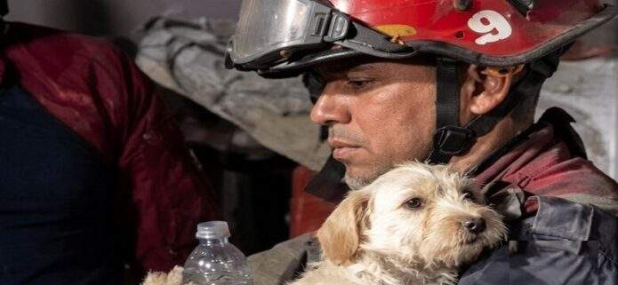 Misión Nevado rescata a más de 600 mascotas tras los intensos sismos