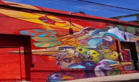 Artistas internacionales llenarán de color La Asunción