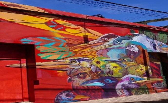 Artistas internacionales llenarán de color La Asunción