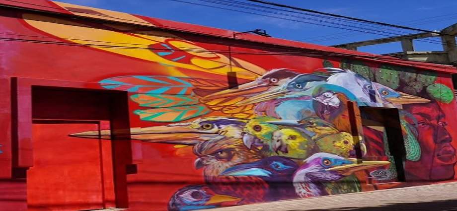 Artistas internacionales llenarán de color La Asunción