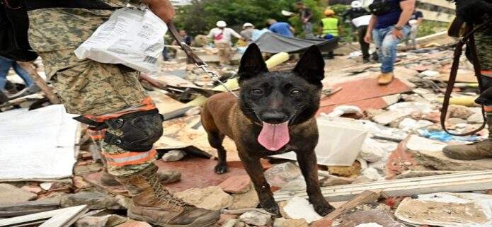 Protección Civil Falcón estrena brigada canina K9