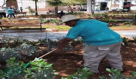 Avanzan los trabajos de renovación ambiental y paisajística en la Plaza Bolívar de La Asunción