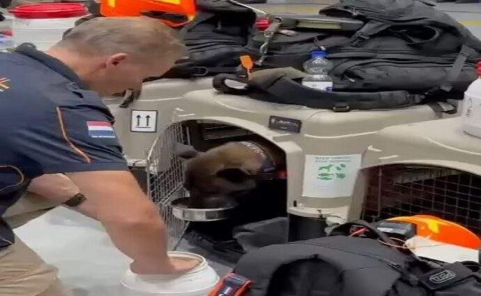 El equipo de búsqueda y rescate de Países Bajos concluye sus operaciones en Venezuela