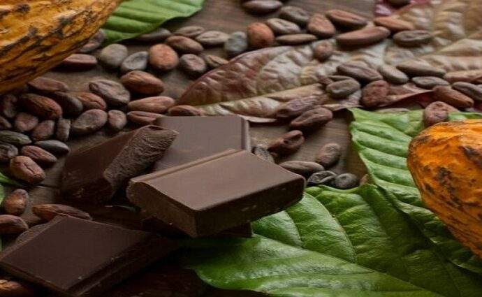 Fundación Nuestra Tierra reprograma la cata masiva de chocolate para 2027